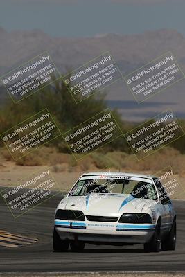 media/Oct-11-2025-Lucky Dog Racing (Sat) [[f5b53147c4]]/3-Second Stint/3-Turn 10/